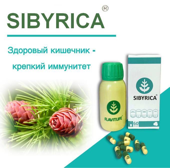 SIBYRICA (СИБИРИКА). БЕСПЛАТНАЯ ДОСТАВКА