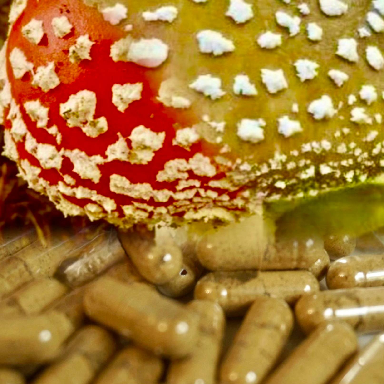 Red 80+20 Panter 💊 500мг. Свежий урожай 2025 АЛТАЙ
